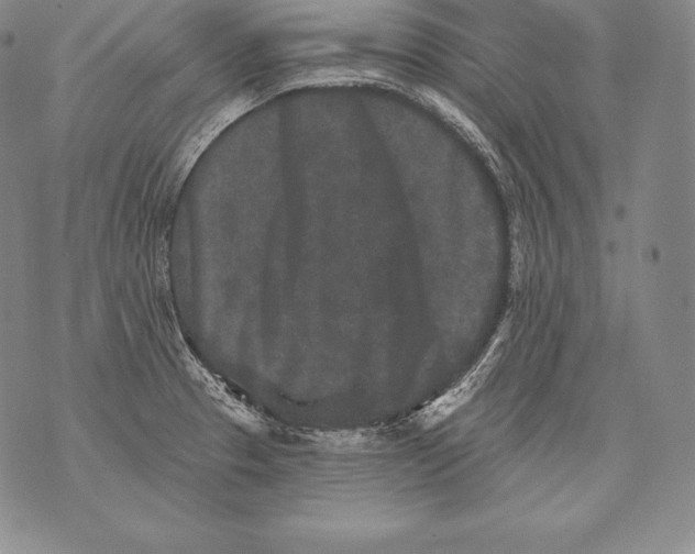 X0000076101329200610152334