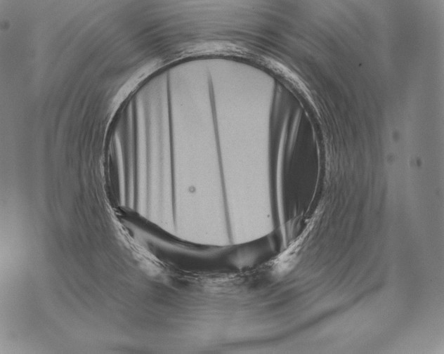 X0000076101330200610152334