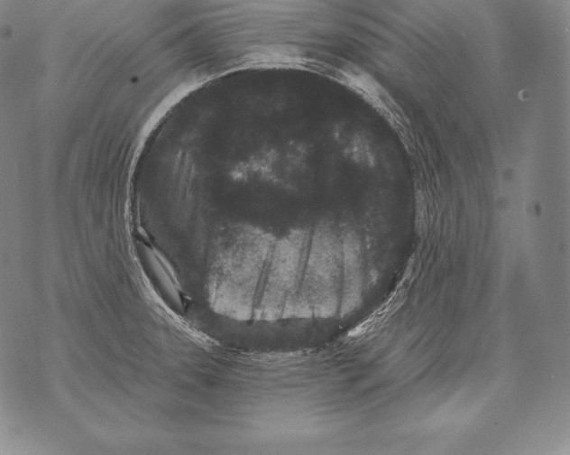 X0000076101331200610152334