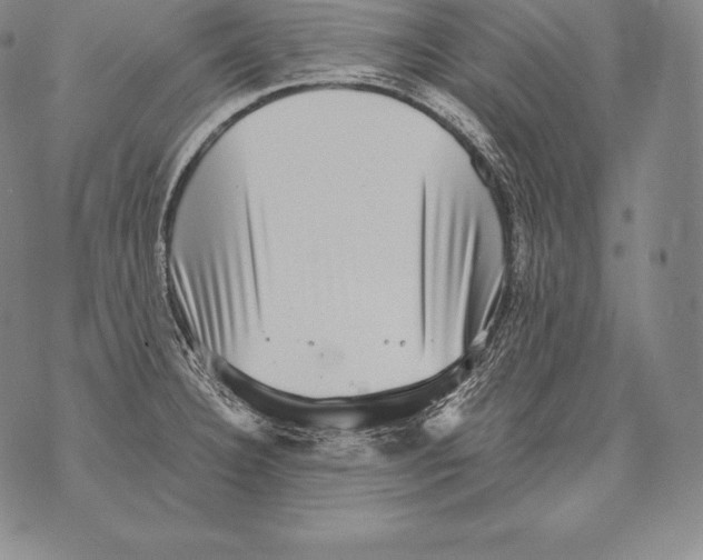 X0000076101332200610152334