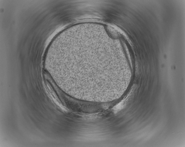 X0000076101333200610152334