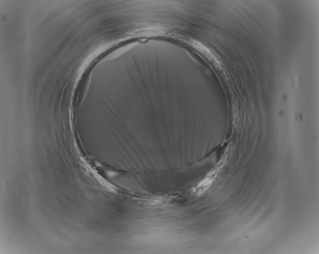 X0000076101334200610152334