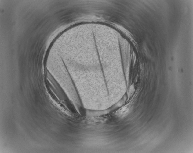 X0000076101335200610152334