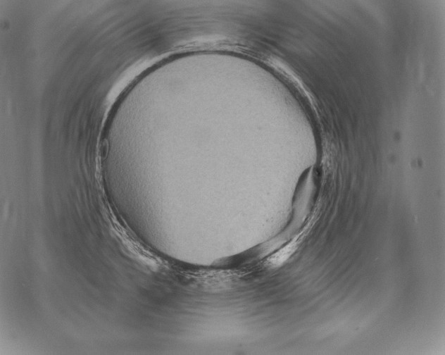 X0000076101336200610152334