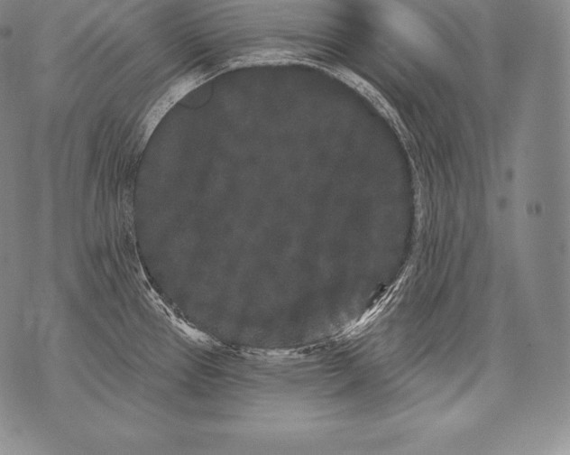 X0000076101337200610152334