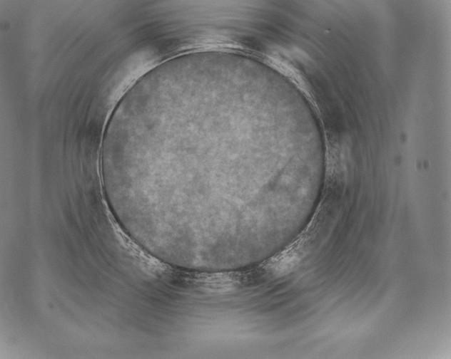 X0000076101338200610152334