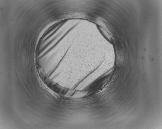 X0000076101339200610152334