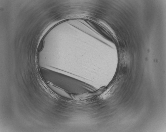 X0000076101340200610152334