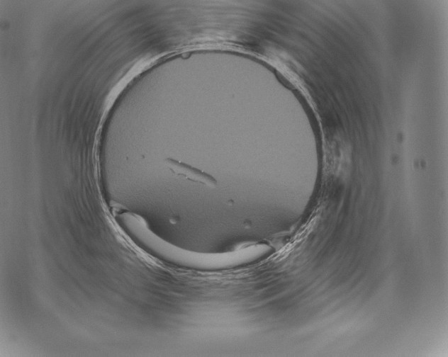 X0000076101341200610152334