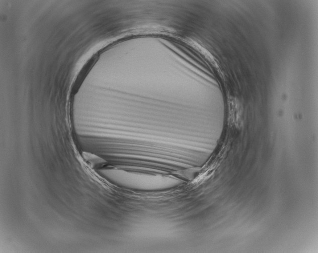 X0000076101342200610152334