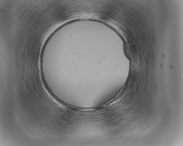 X0000076101343200610152334