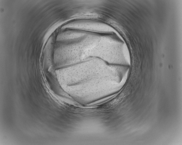 X0000076101344200610152334