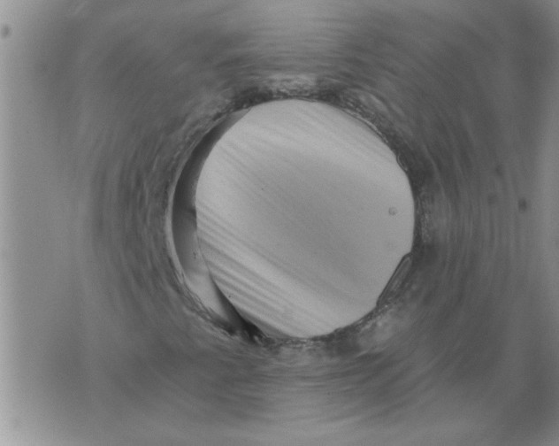 X0000076101345200610152333