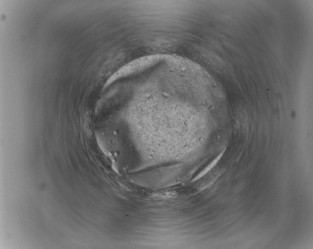 X0000076101346200610152333