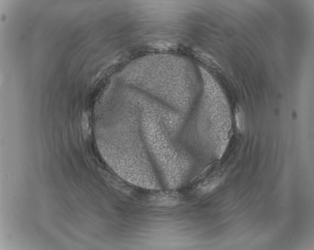 X0000076101347200610152333