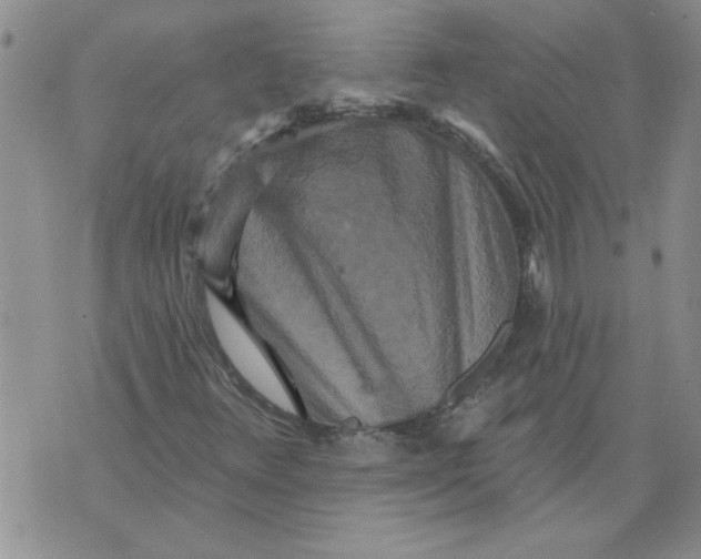 X0000076101348200610152333