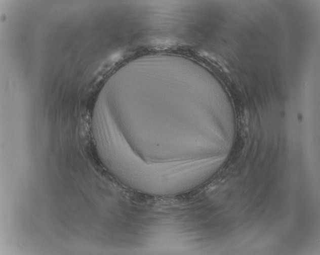 X0000076101349200610152333