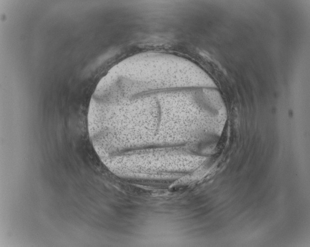 X0000076101350200610152333