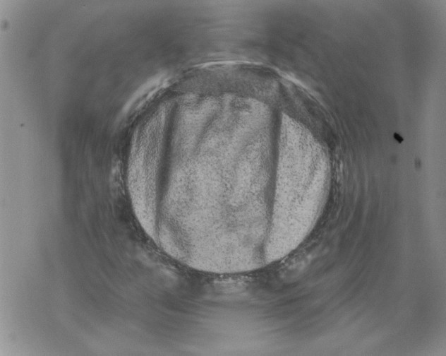 X0000076101351200610152333