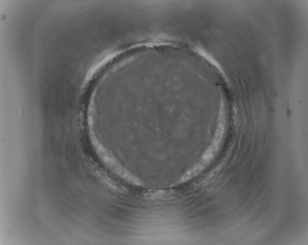 X0000076101352200610152333