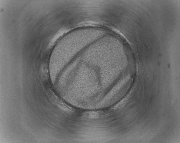 X0000076101355200610152333