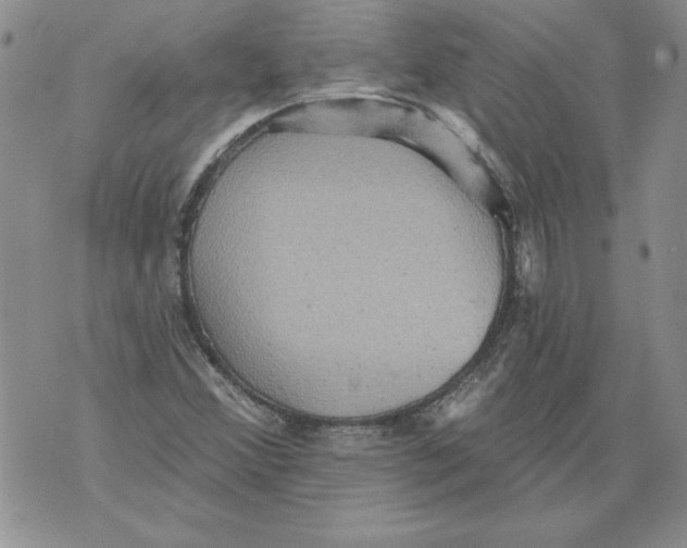 X0000076101356200610152333