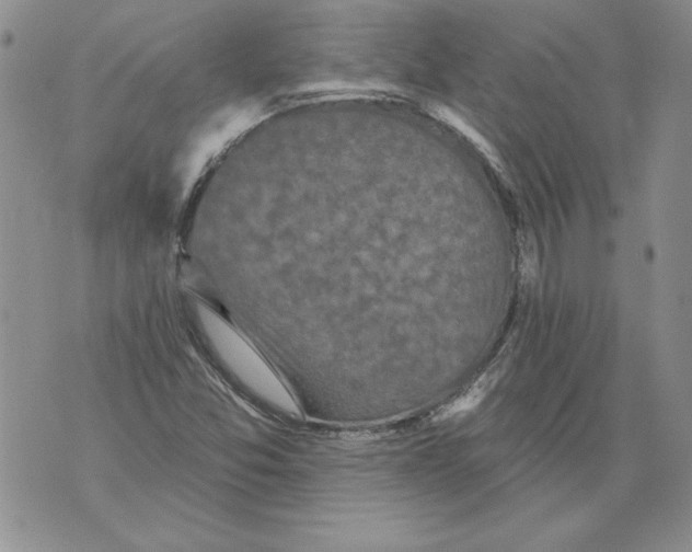 X0000076101357200610152333