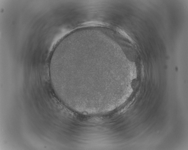 X0000076101358200610152333