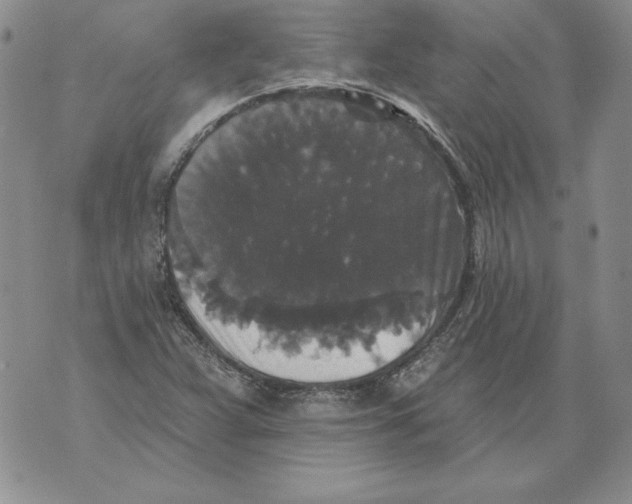 X0000076101359200610152333