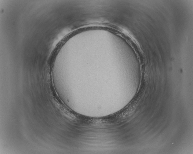 X0000076101360200610152333