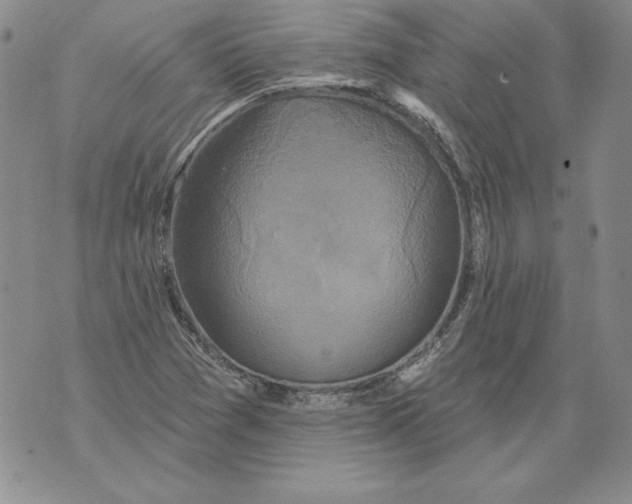 X0000076101361200610152333