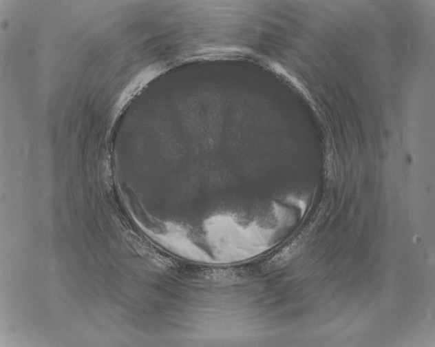 X0000076101362200610152333