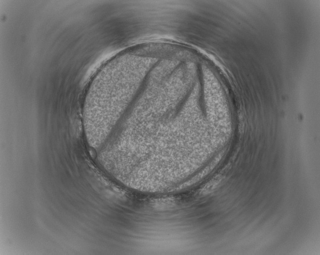 X0000076101363200610152333