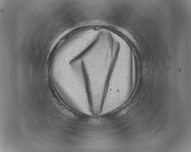 X0000076101364200610152333