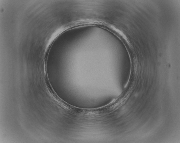 X0000076101365200610152333