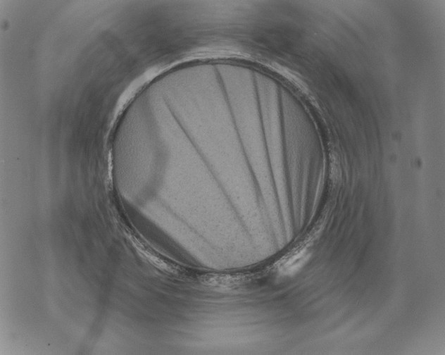 X0000076101366200610152333