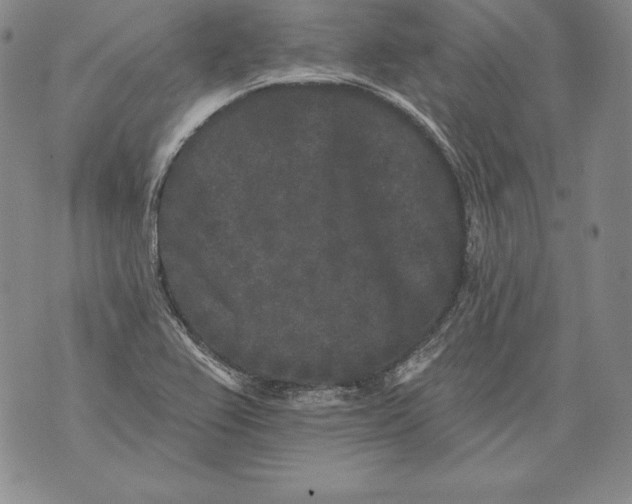 X0000076101367200610152333