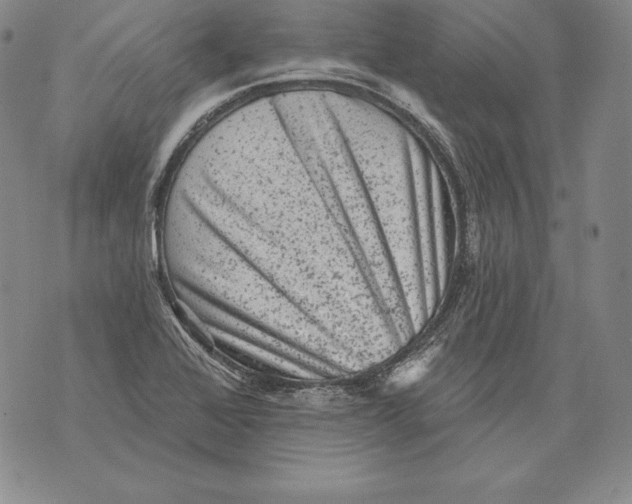 X0000076101368200610152333