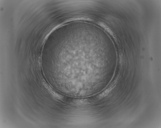 X0000076101369200610152333