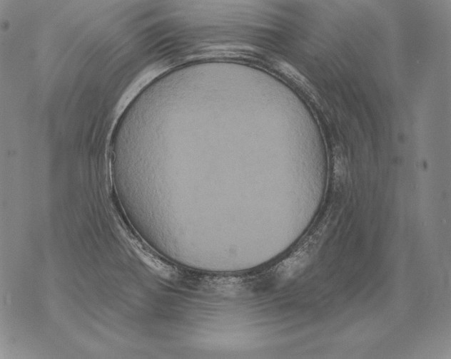 X0000076101370200610152333