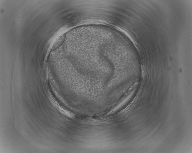 X0000076101371200610152333