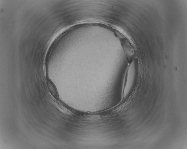 X0000076101372200610152333