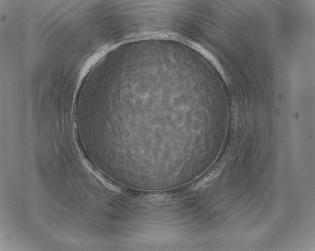 X0000076101373200610152333