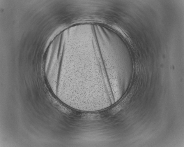 X0000076101374200610152333