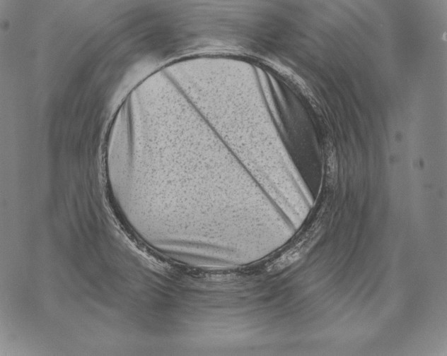 X0000076101375200610152333