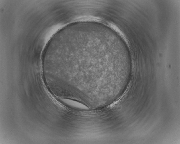 X0000076101376200610152333