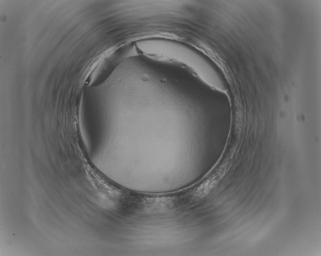 X0000076101377200610152333