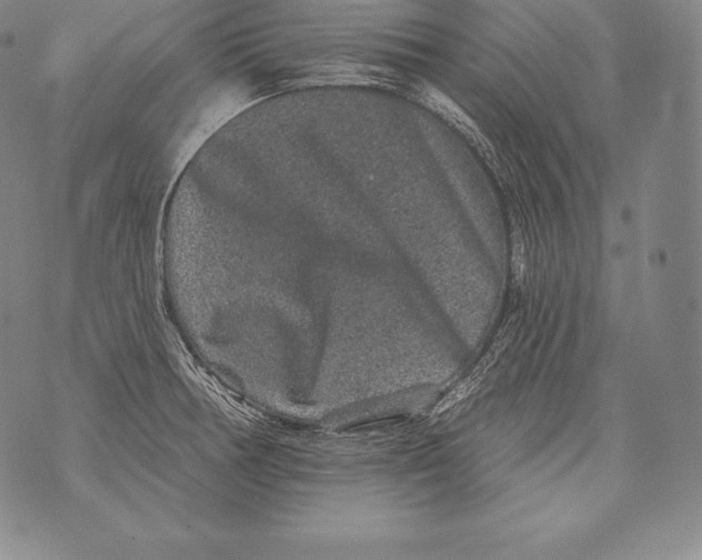 X0000076101378200610152332