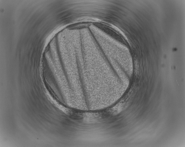 X0000076101379200610152332