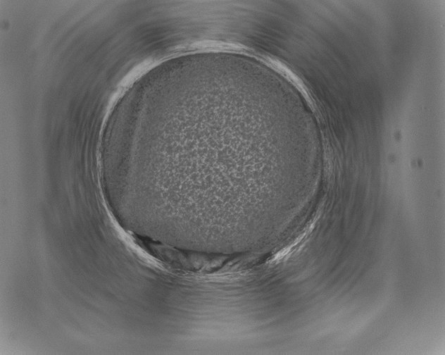 X0000076101381200610152332